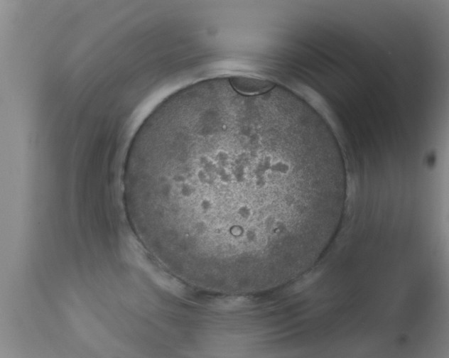 X0000112911435200909071524