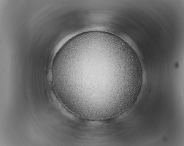 X0000112911436200909071524