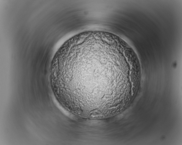 X0000112911437200909071524