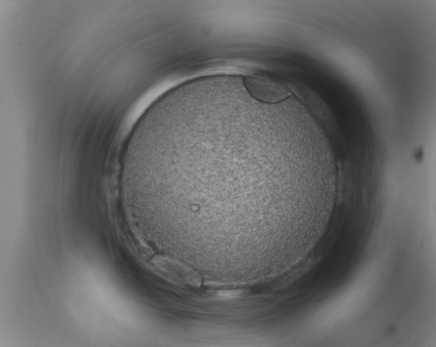 X0000112911438200909071524