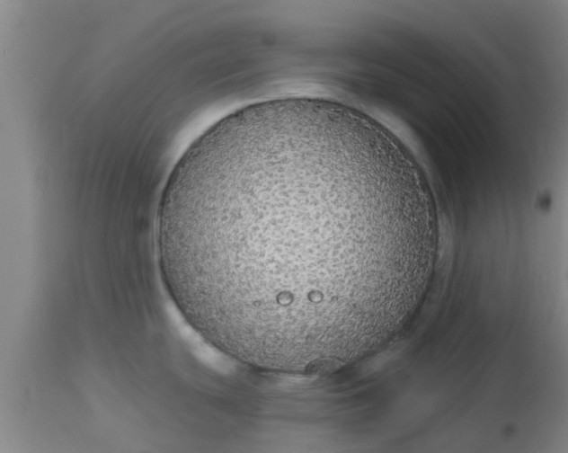 X0000112911439200909071524