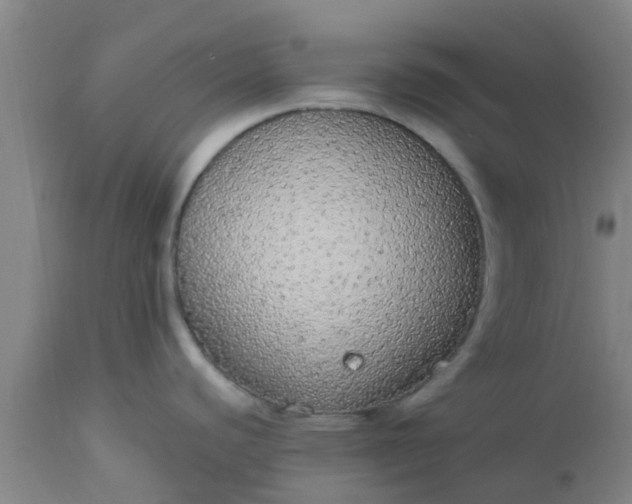 X0000112911440200909071524