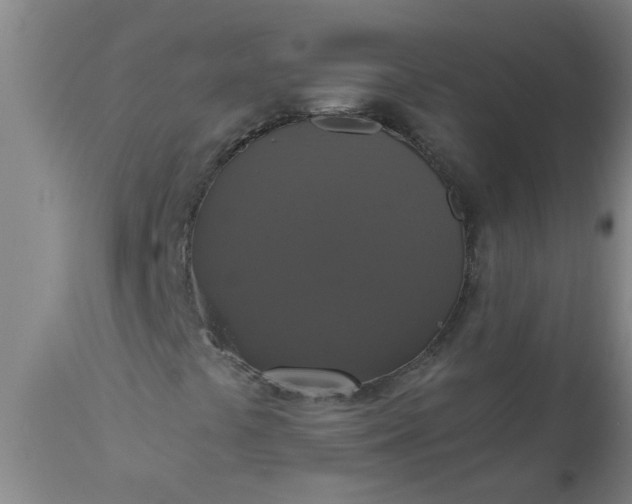 X0000112911441200909071524