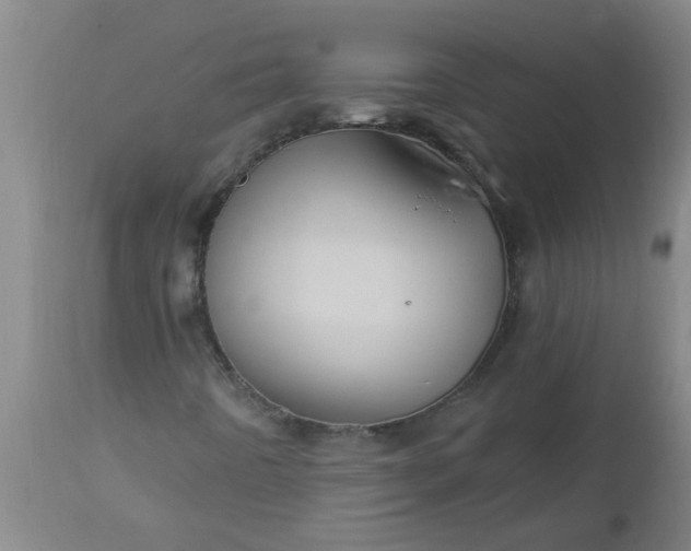 X0000112911442200909071523