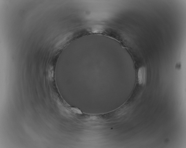 X0000112911443200909071523