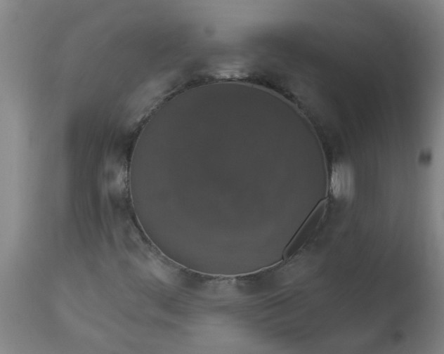 X0000112911444200909071523