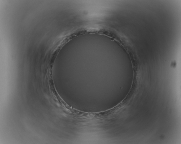 X0000112911445200909071523