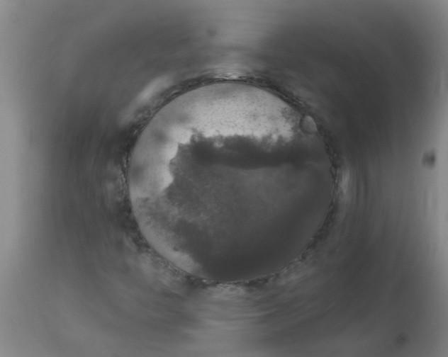 X0000112911446200909071523