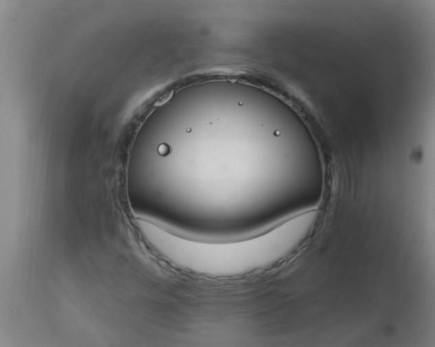 X0000112911448200909071523