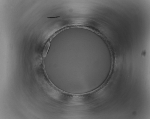 X0000112911449200909071523