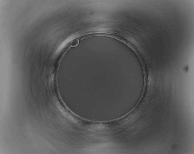 X0000112911450200909071523