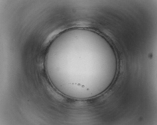 X0000112911451200909071523