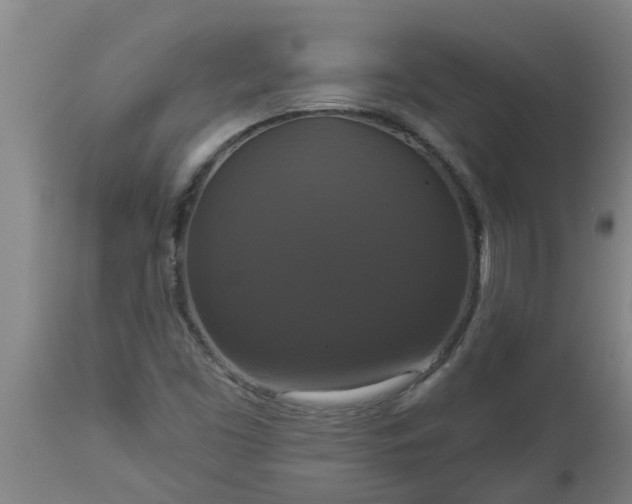 X0000112911453200909071523