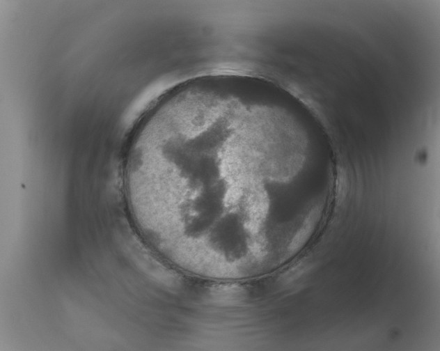 X0000112911454200909071523