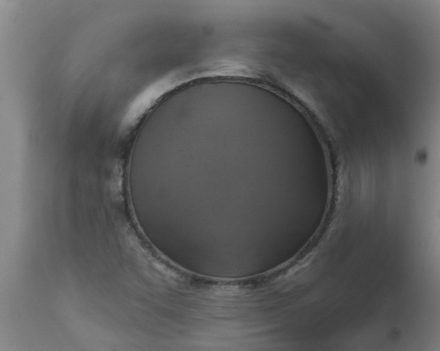 X0000112911455200909071523