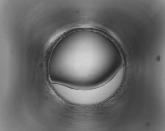 X0000112911456200909071523