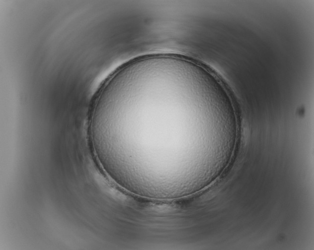 X0000112911460200909071523