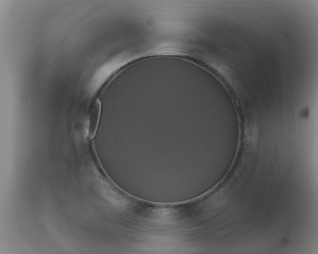 X0000112911461200909071523