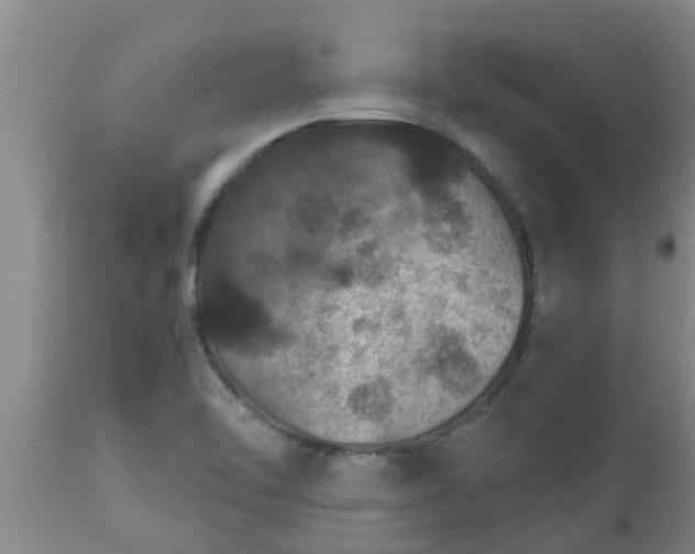 X0000112911462200909071523