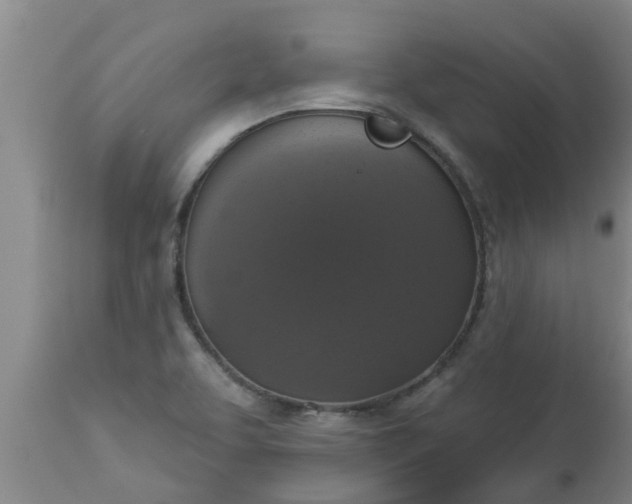 X0000112911463200909071523