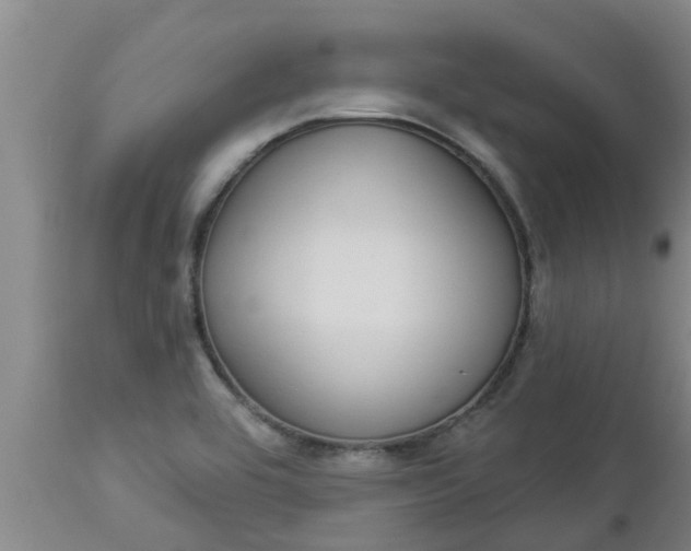 X0000112911464200909071523