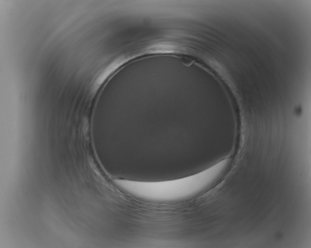 X0000112911465200909071523