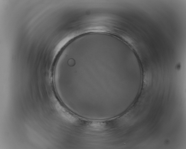 X0000112911466200909071523