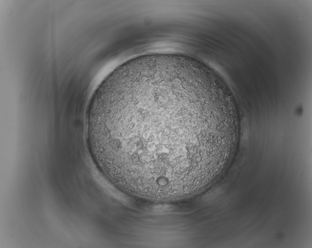 X0000112911467200909071523