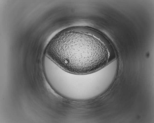 X0000112911468200909071523