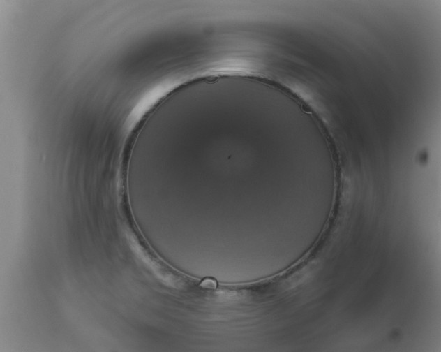 X0000112911469200909071523