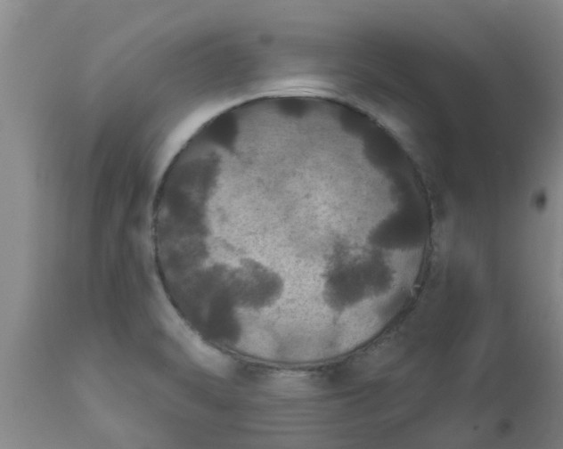 X0000112911470200909071523