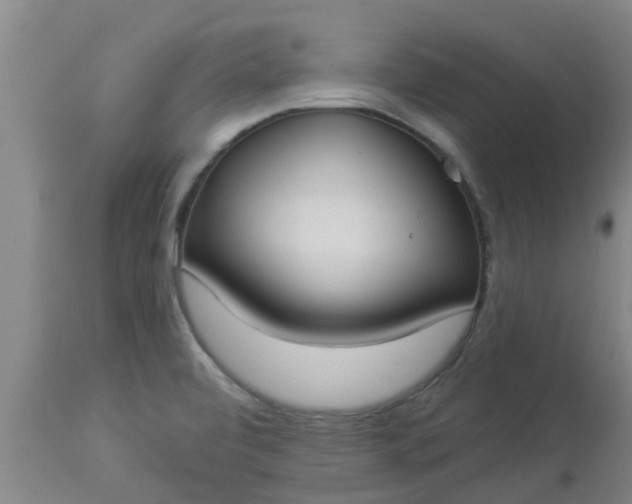 X0000112911472200909071523