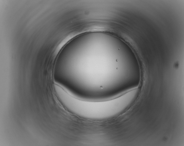 X0000112911473200909071523