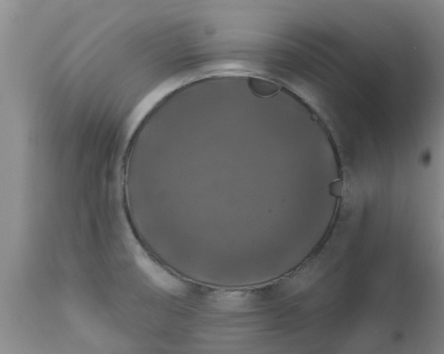 X0000112911474200909071523