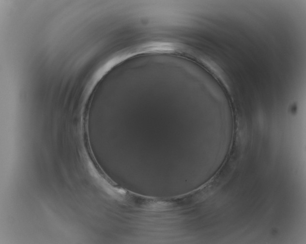 X0000112911475200909071523