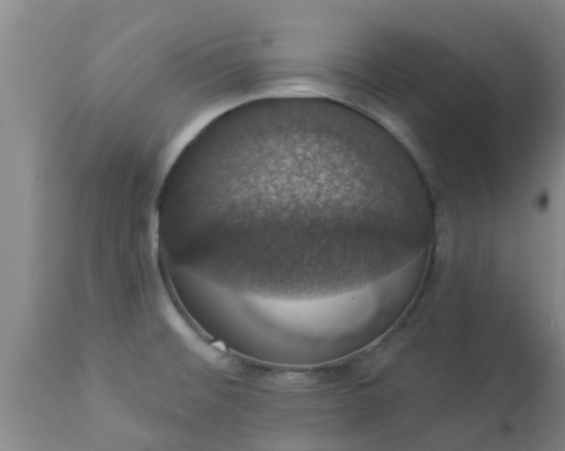 X0000112911476200909071523