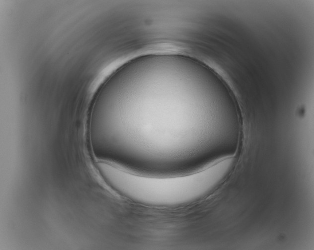 X0000112911477200909071523