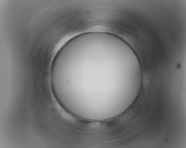 X0000112911478200909071523