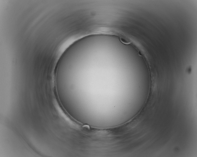 X0000112911479200909071523