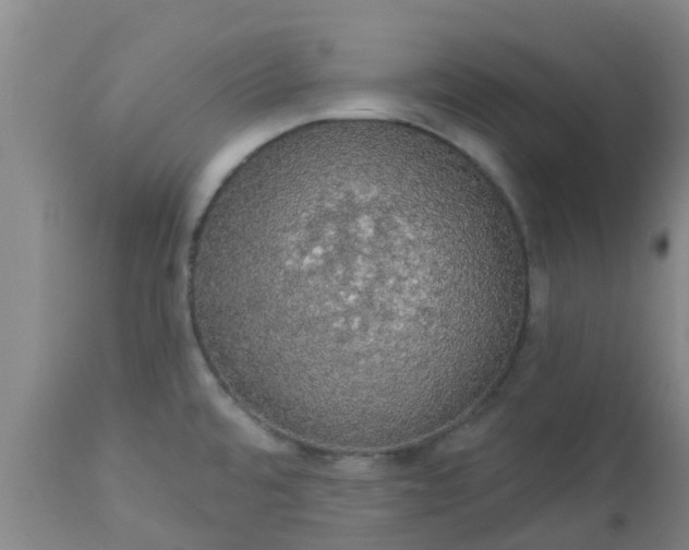 X0000112911480200909071523