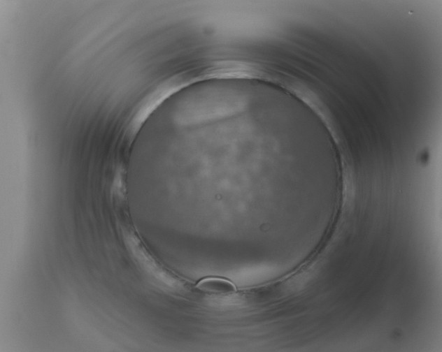 X0000112911481200909071523