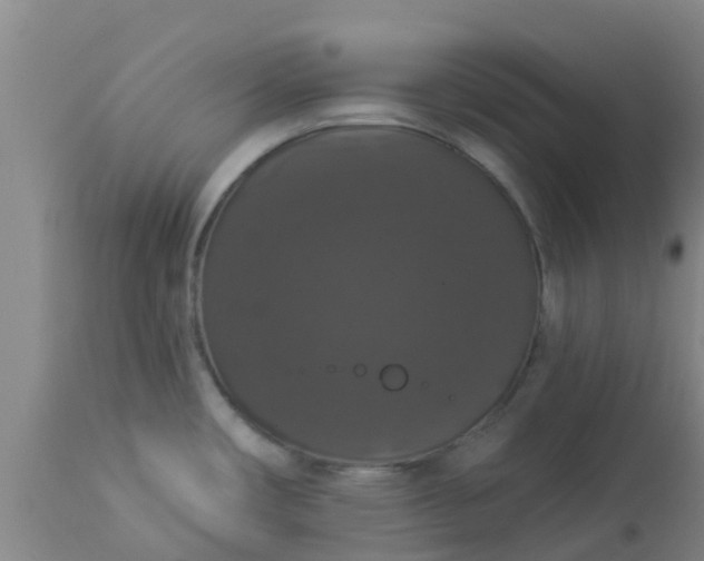 X0000112911482200909071523