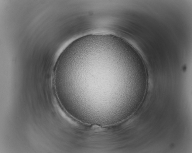 X0000112911484200909071523