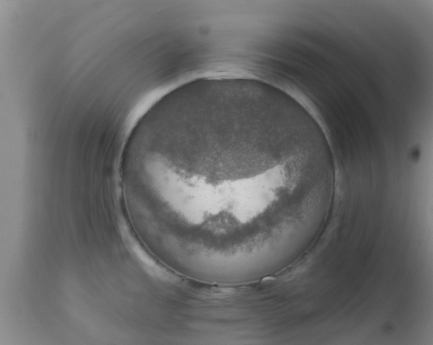 X0000112911485200909071523