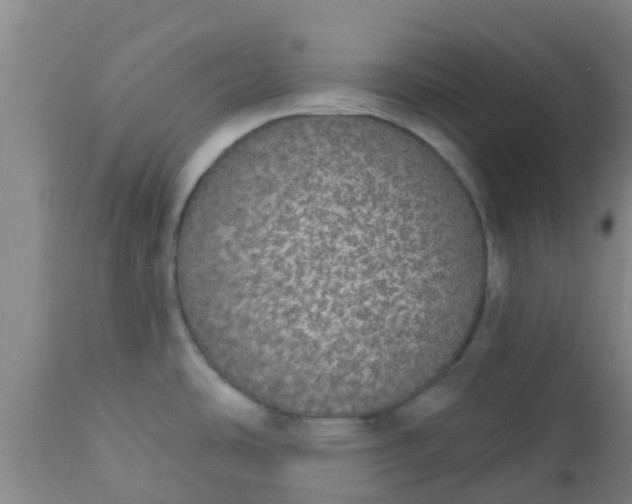 X0000112911486200909071523