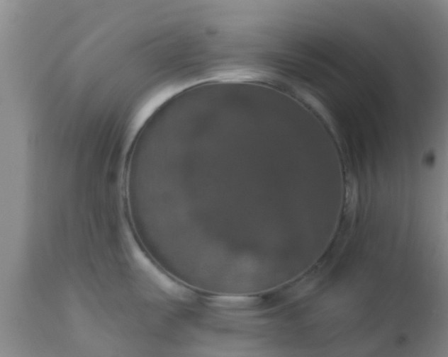 X0000112911487200909071523