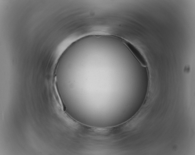 X0000112911488200909071523