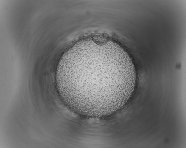 X0000112911489200909071522