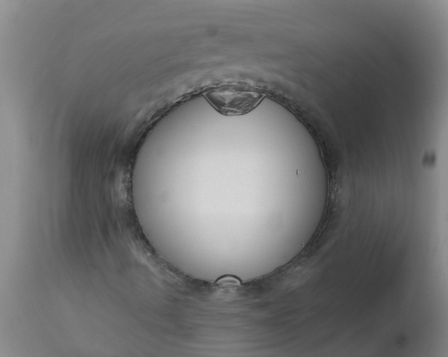 X0000112911490200909071522