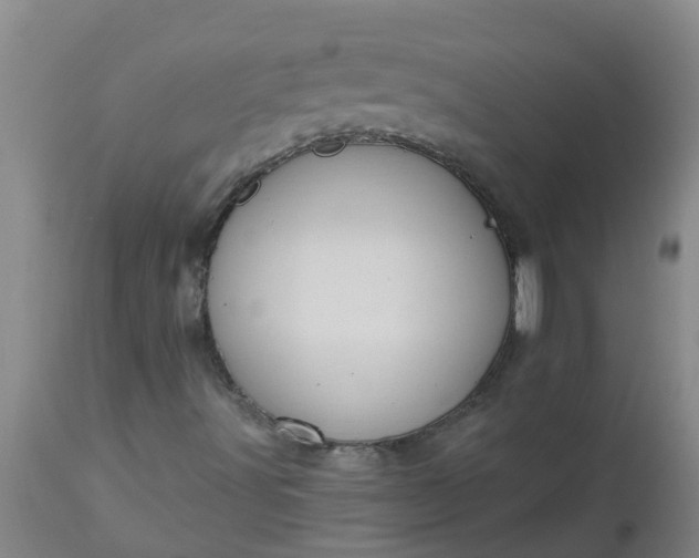 X0000112911491200909071522